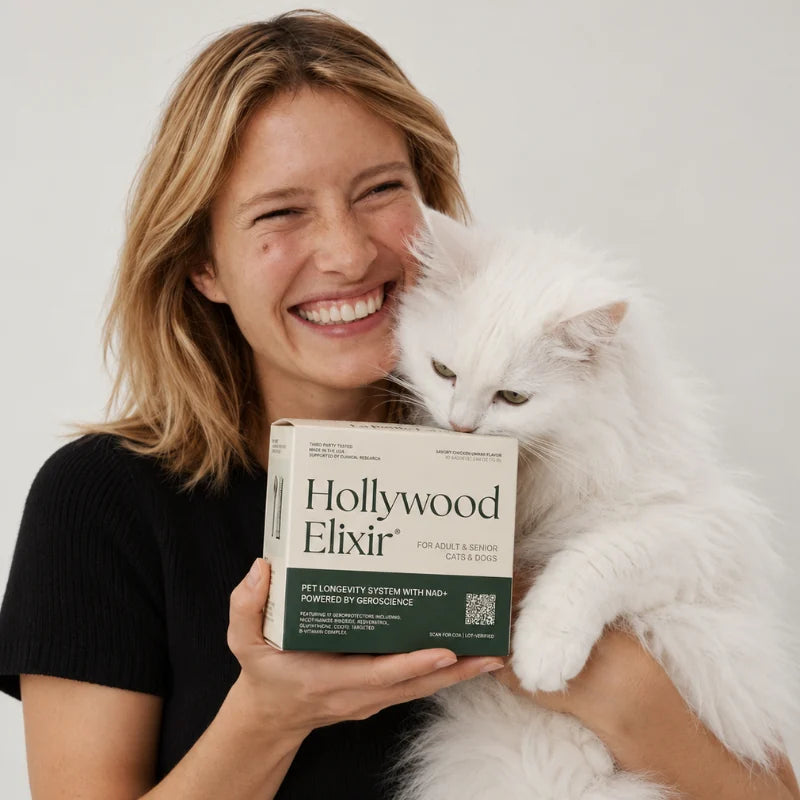 A woman holding a white cat and Hollywood Elixir